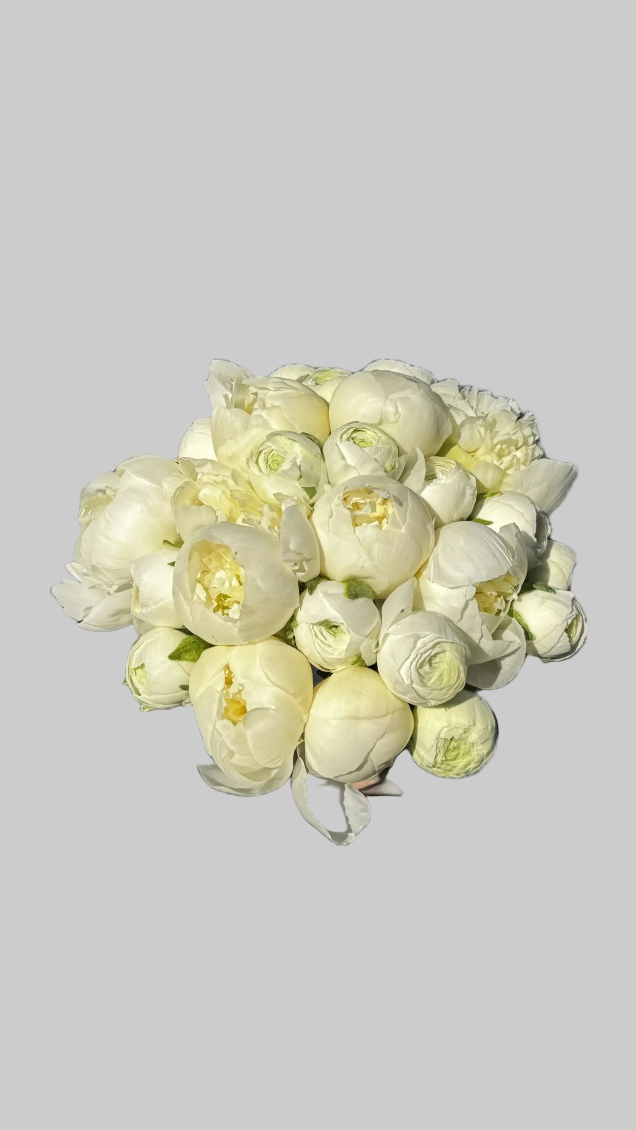 Buchet mireasă bujori și ranunculus
