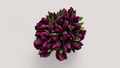 Buchet 25 lalele
