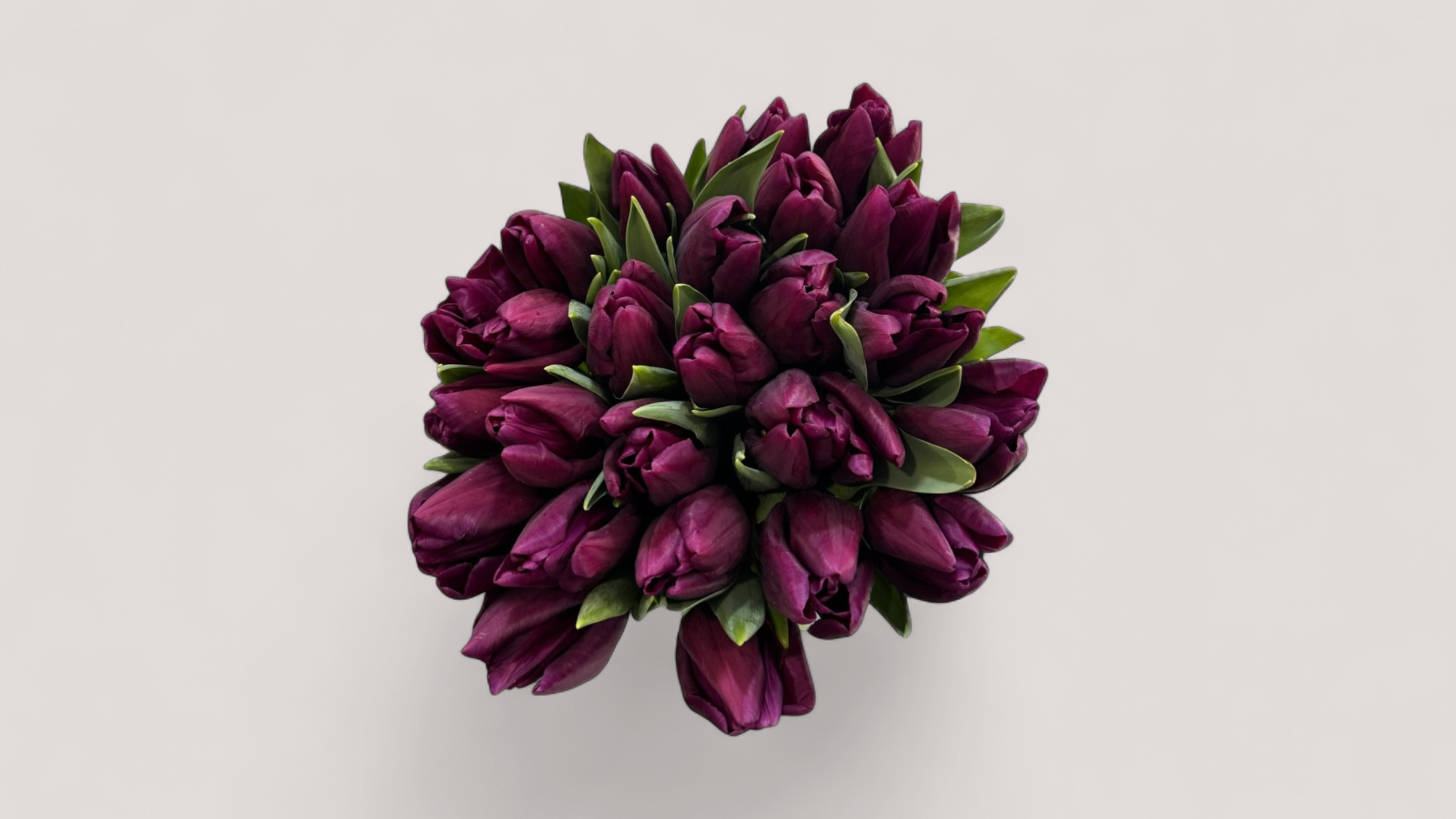 Buchet 25 lalele