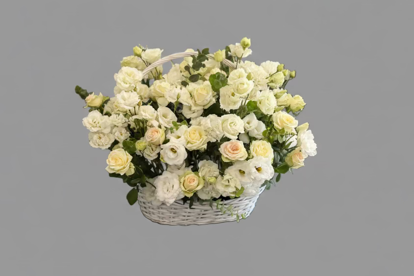 Aranjament ,,White love''